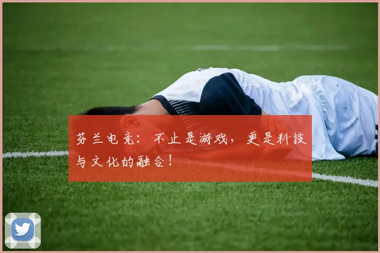 芬兰电竞:不止是游戏,更是科技与文化的融合!