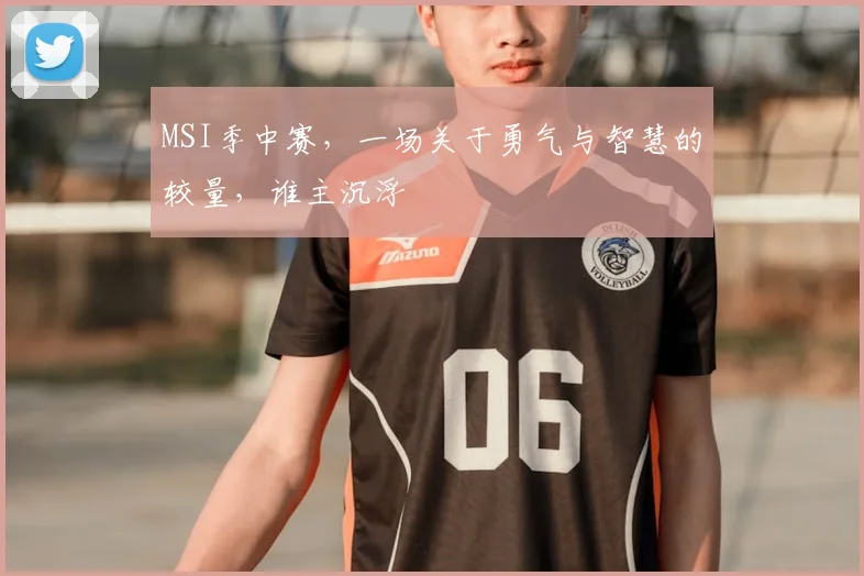 MSI季中赛,一场关于勇气与智慧的较量,谁主沉浮