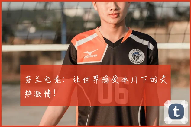 芬兰电竞:让世界感受冰川下的炙热激情!